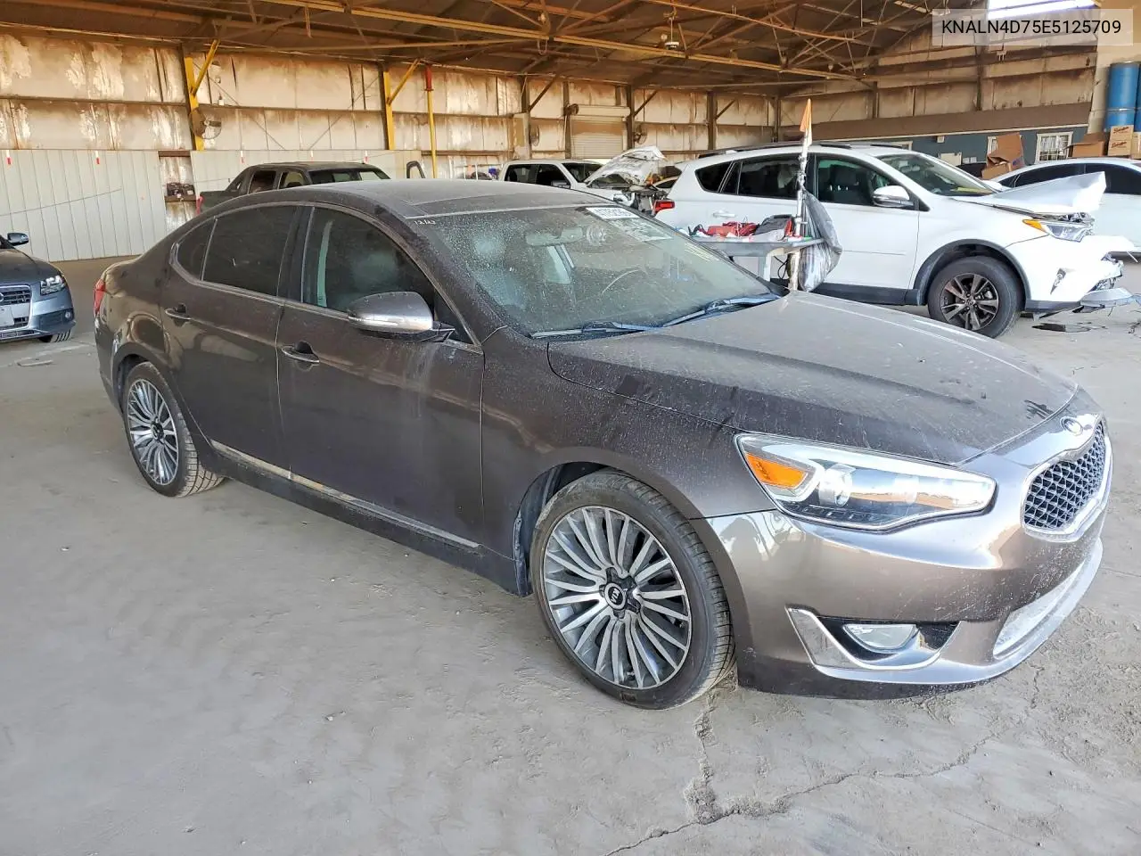 KNALN4D75E5125709 2014 Kia Cadenza Premium
