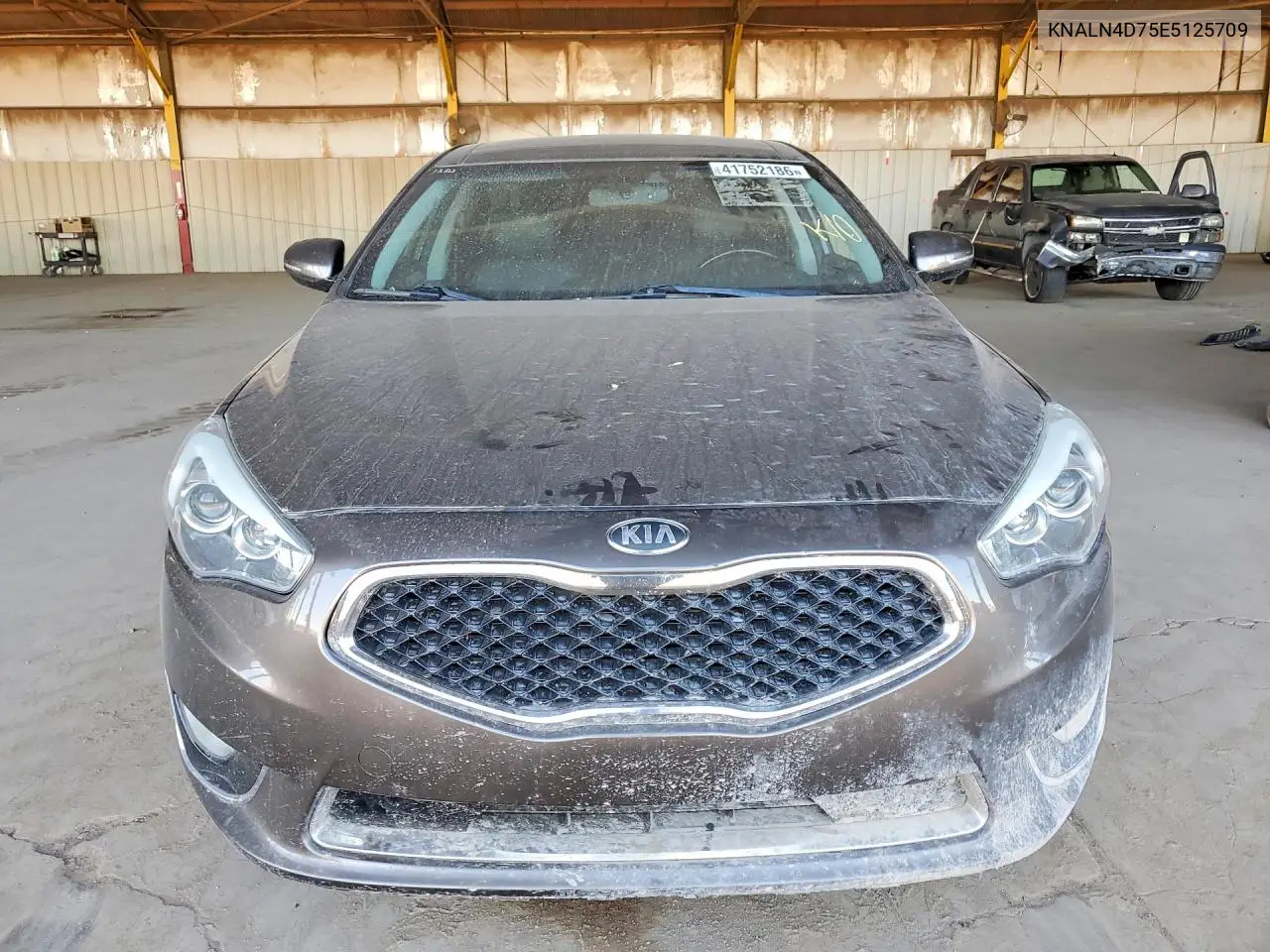 KNALN4D75E5125709 2014 Kia Cadenza Premium