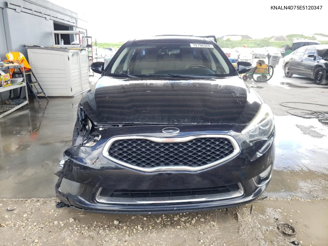 KNALN4D75E5120347 2014 Kia Cadenza Premium