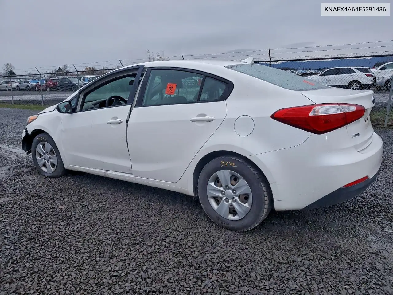 KNAFX4A64F5391436 2015 Kia Forte Lx