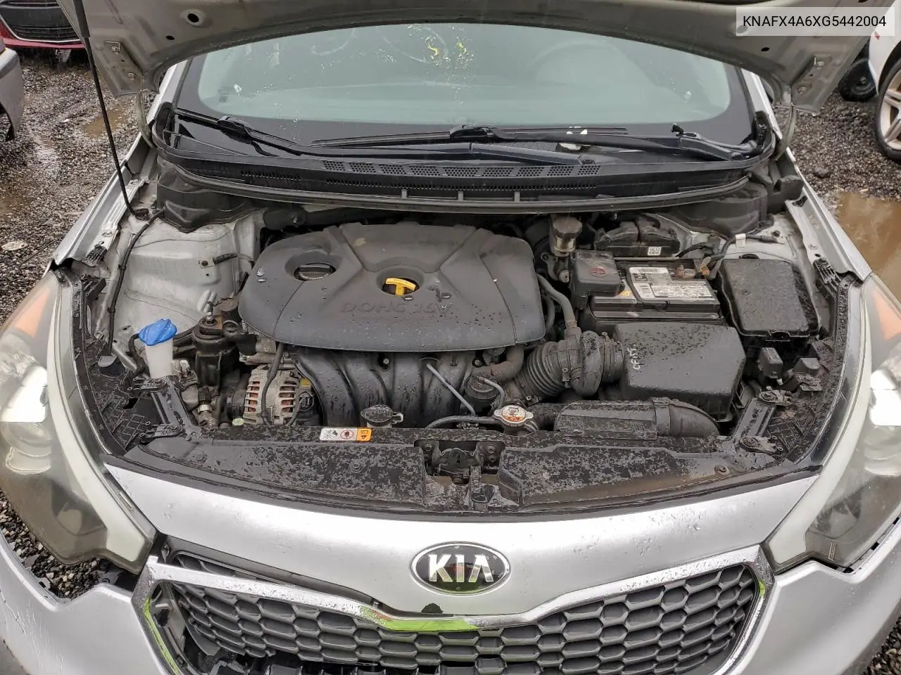 KNAFX4A6XG5442004 2016 Kia Forte Lx