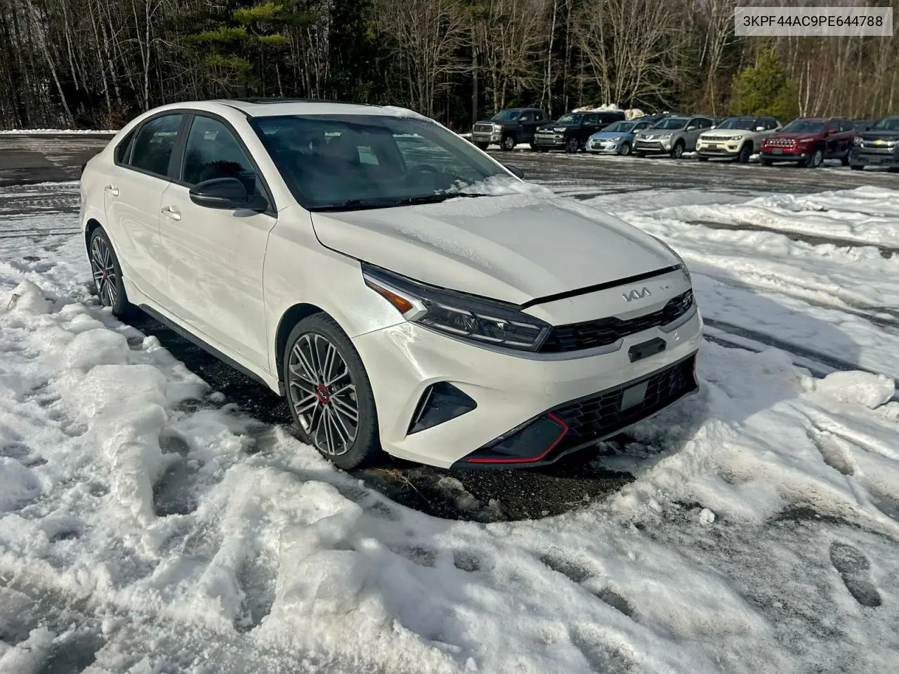 3KPF44AC9PE644788 2023 Kia Forte Gt