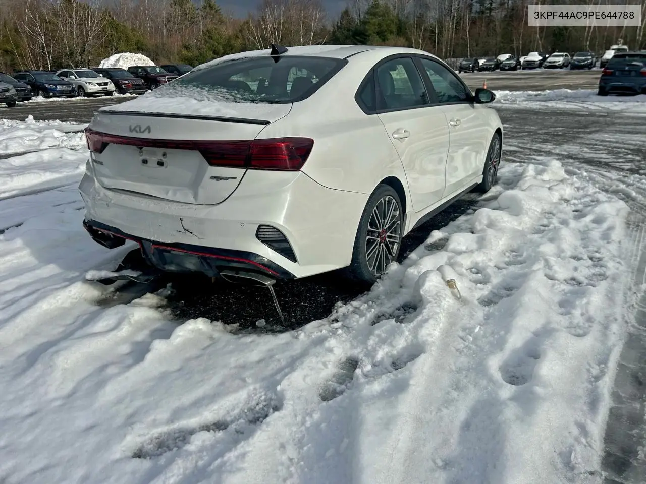 3KPF44AC9PE644788 2023 Kia Forte Gt