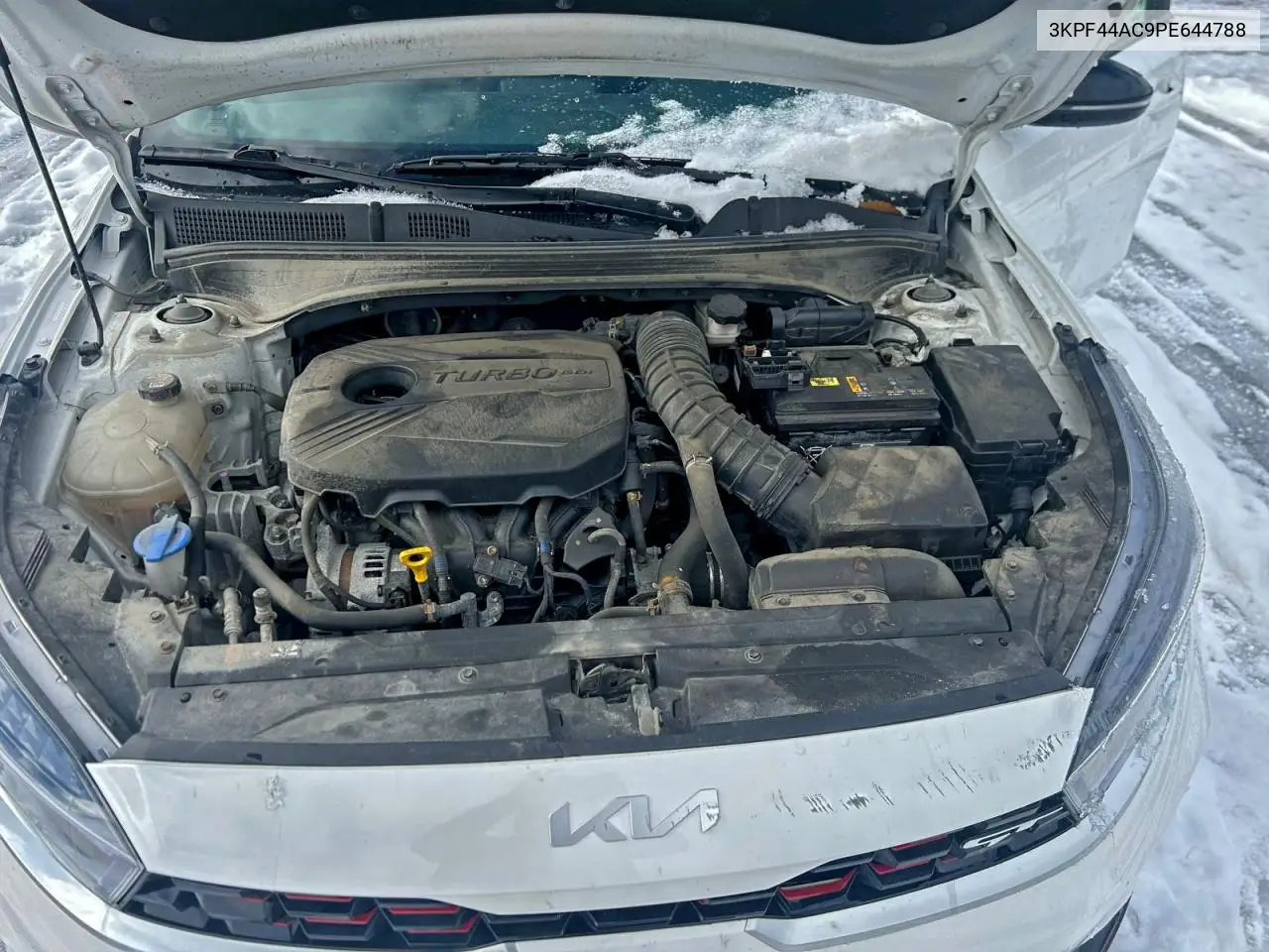3KPF44AC9PE644788 2023 Kia Forte Gt