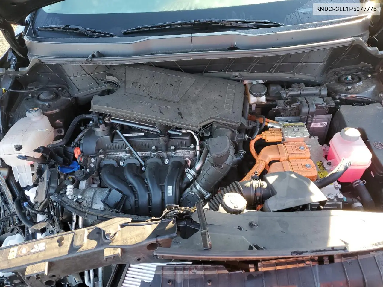 KNDCR3LE1P5077775 2023 Kia Niro Ex