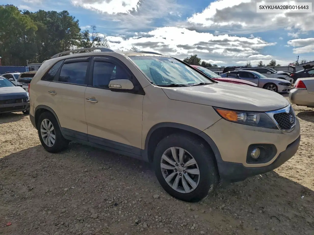 5XYKU4A20BG016443 2011 Kia Sorento Ex