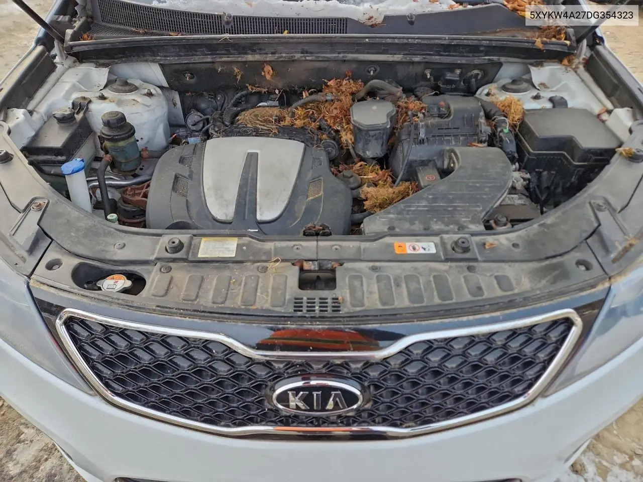 5XYKW4A27DG354323 2013 Kia Sorento Sx