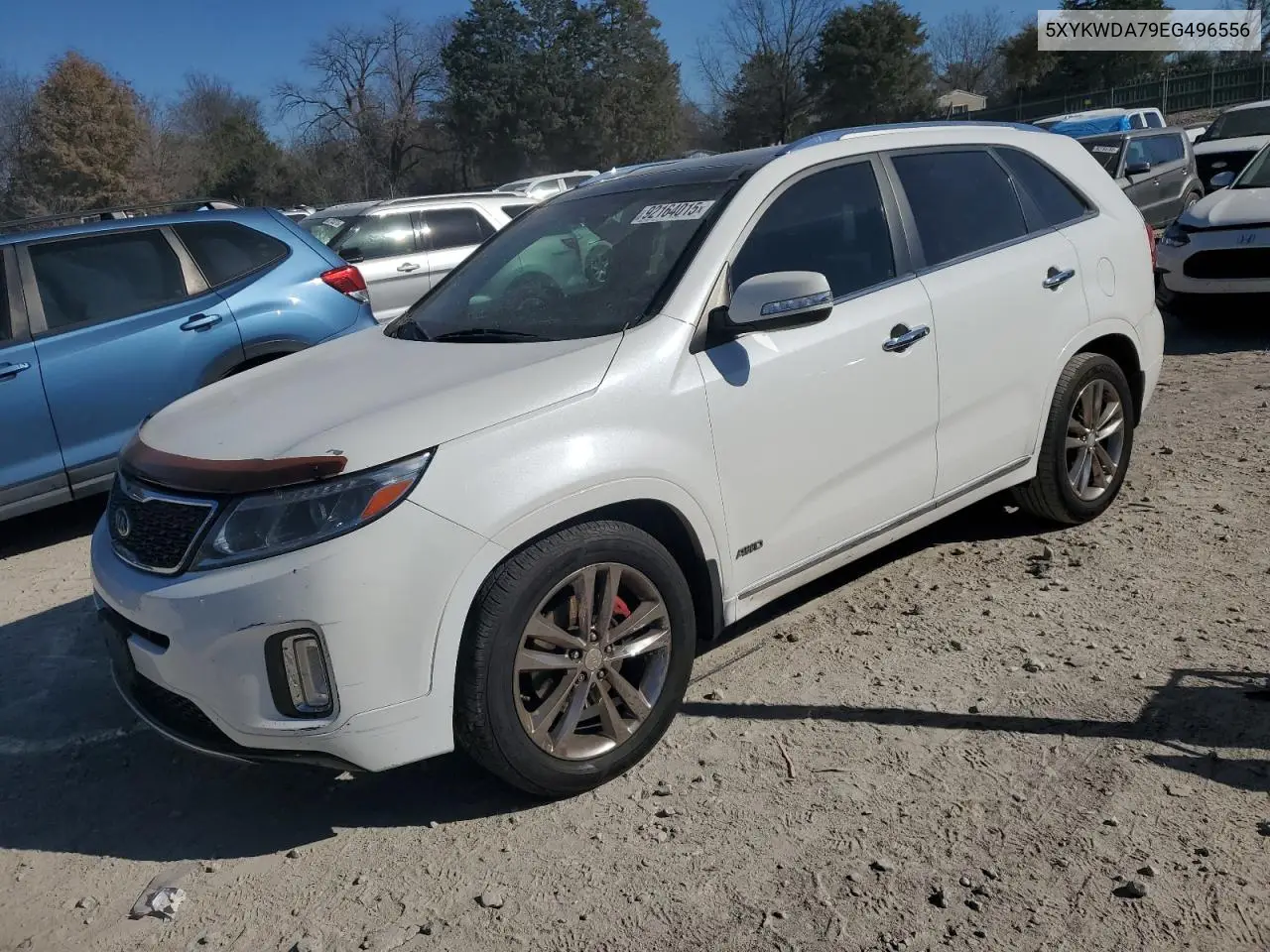 5XYKWDA79EG496556 2014 Kia Sorento Sx