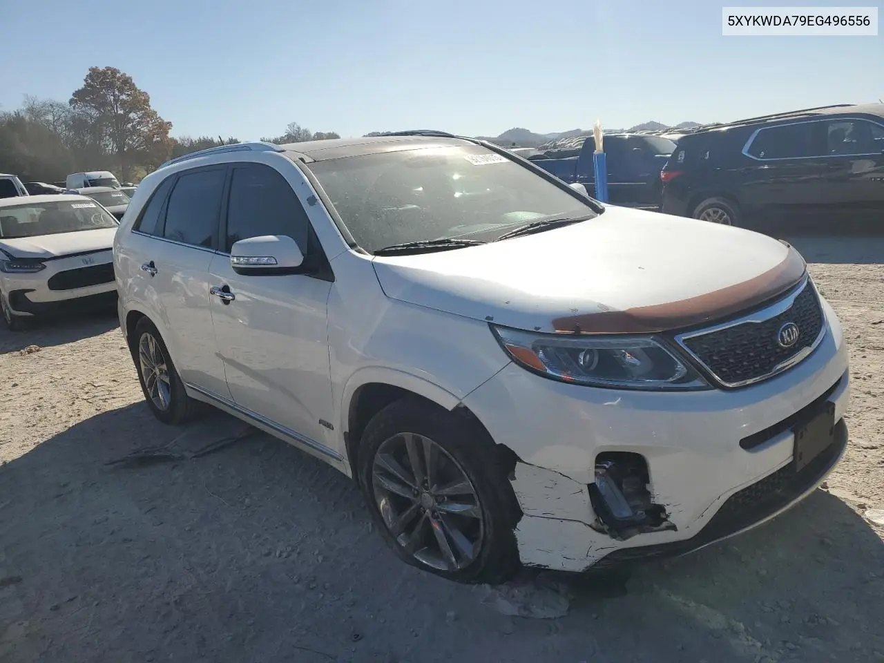 5XYKWDA79EG496556 2014 Kia Sorento Sx