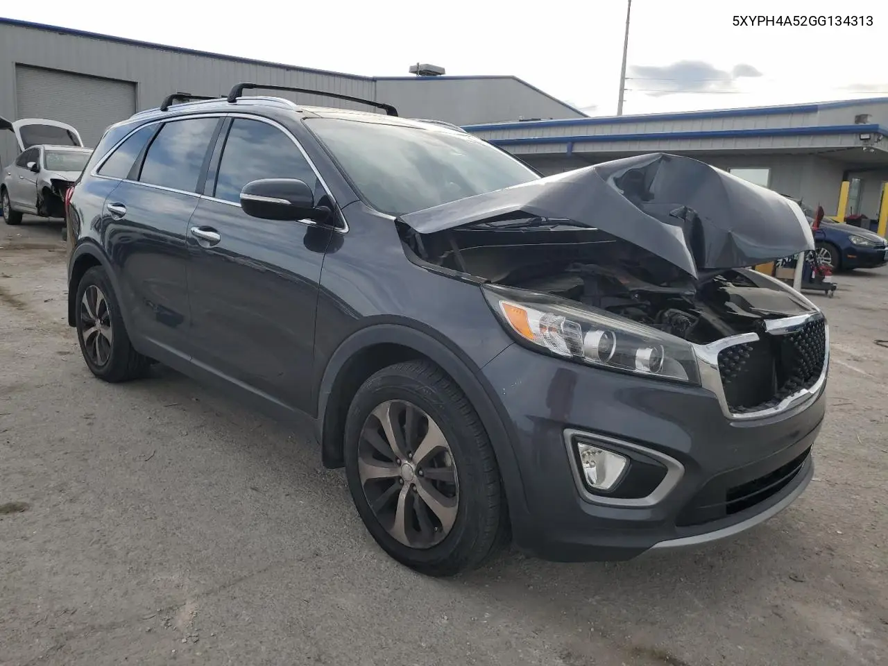 5XYPH4A52GG134313 2016 Kia Sorento Ex