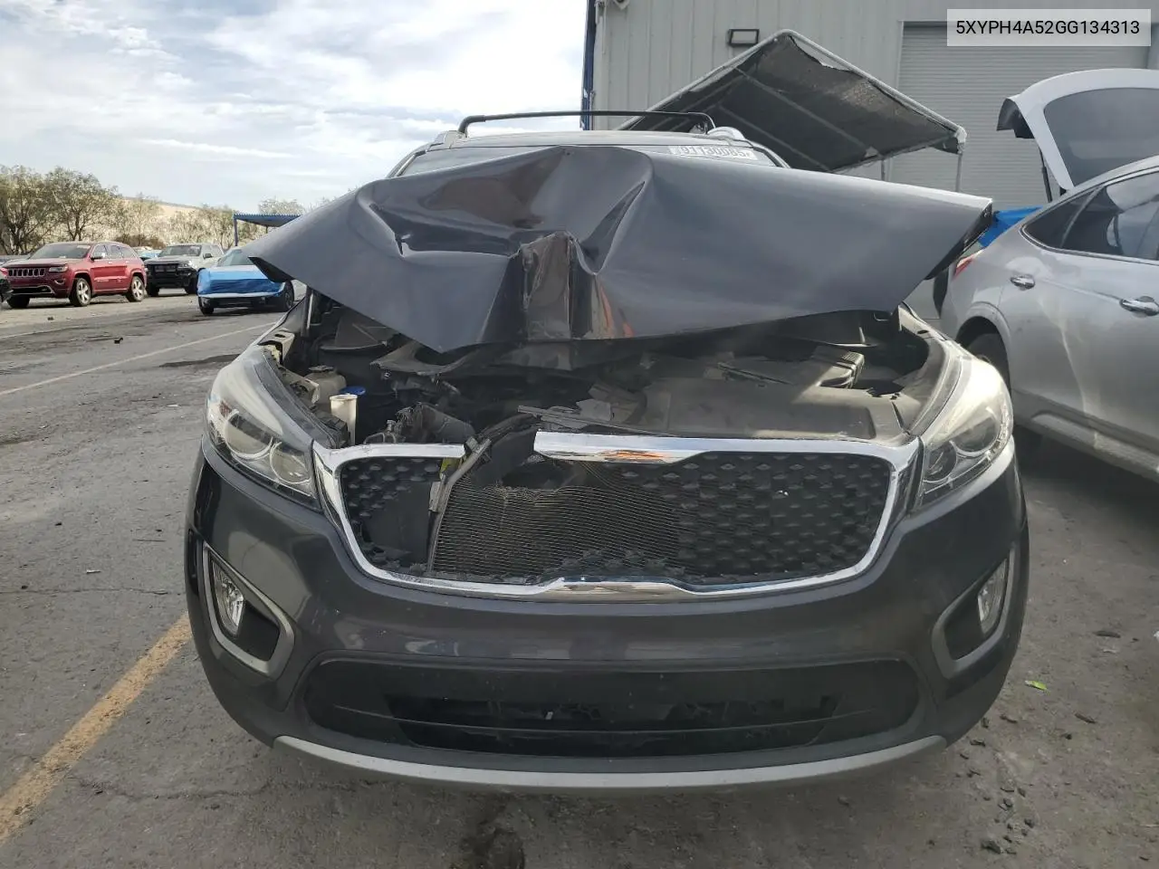 5XYPH4A52GG134313 2016 Kia Sorento Ex
