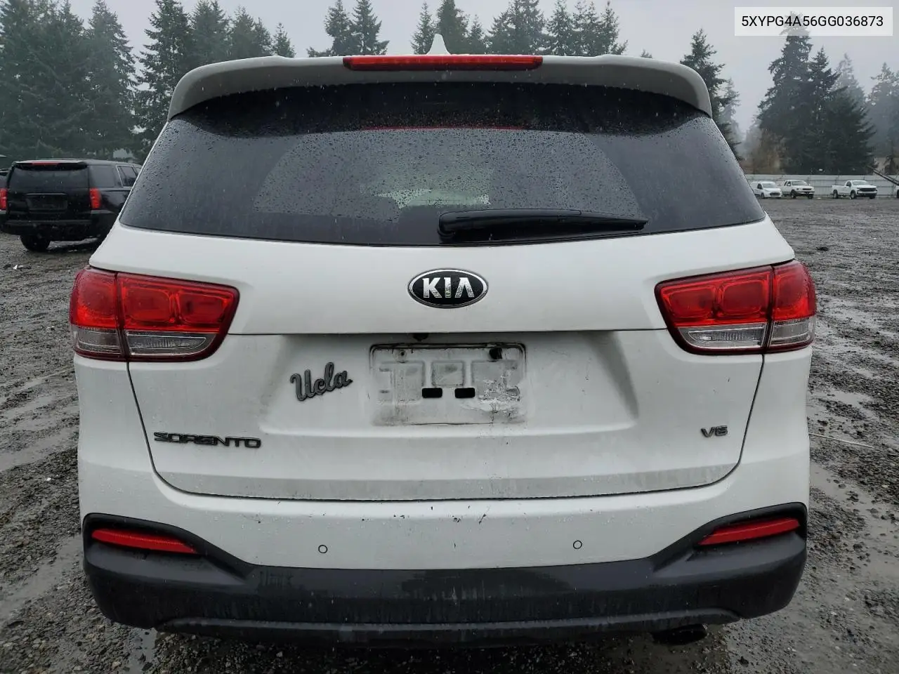 5XYPG4A56GG036873 2016 Kia Sorento Lx