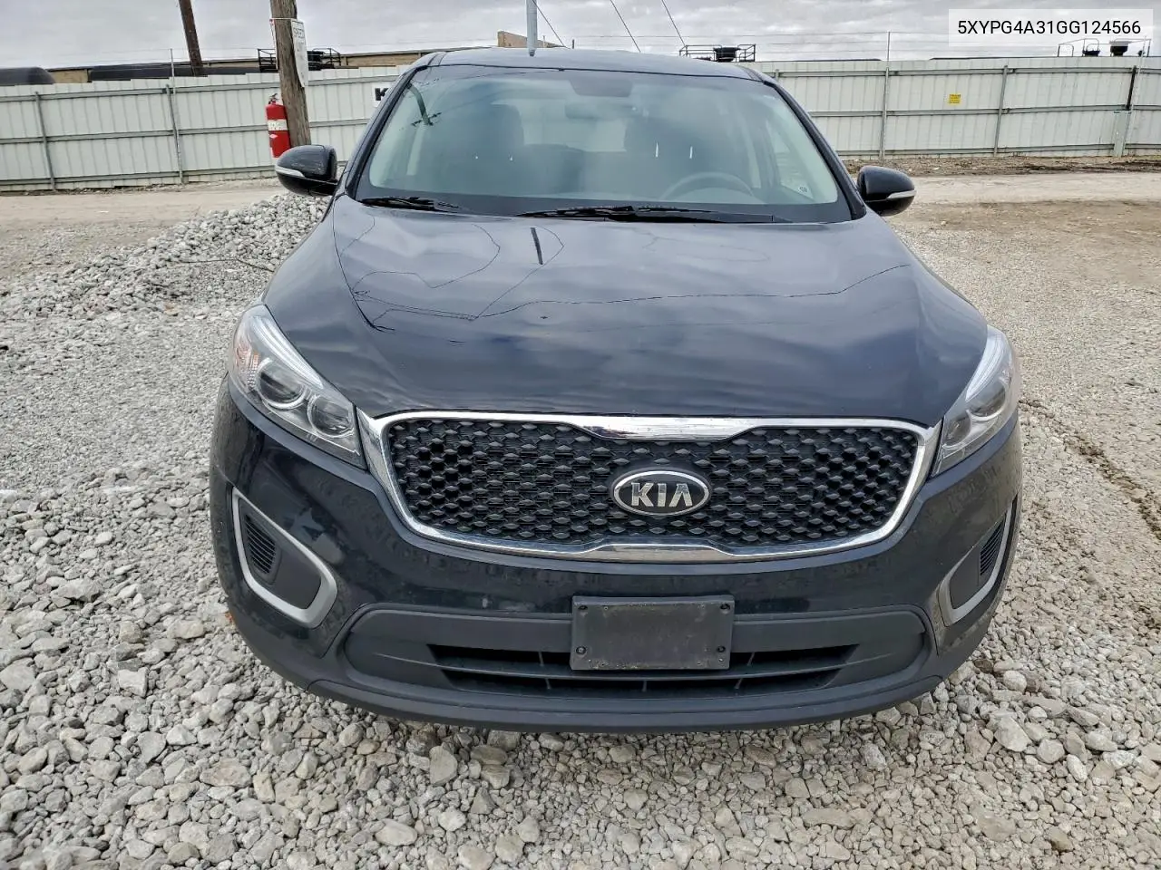 5XYPG4A31GG124566 2016 Kia Sorento Lx