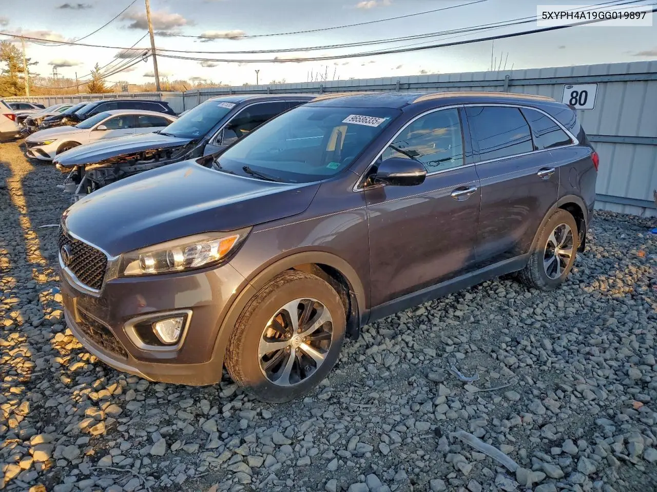 5XYPH4A19GG019897 2016 Kia Sorento Ex