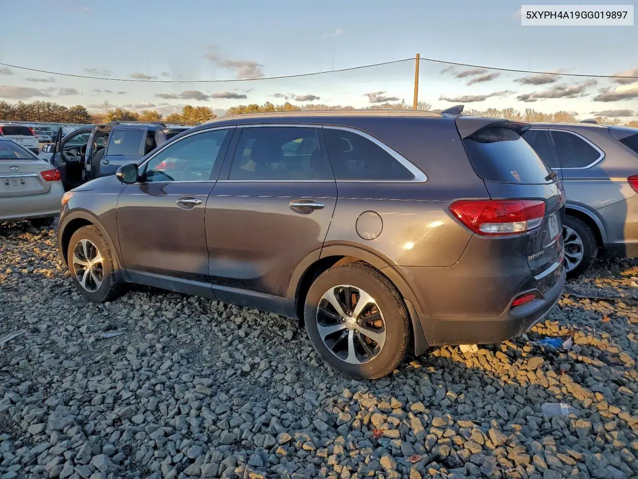 5XYPH4A19GG019897 2016 Kia Sorento Ex