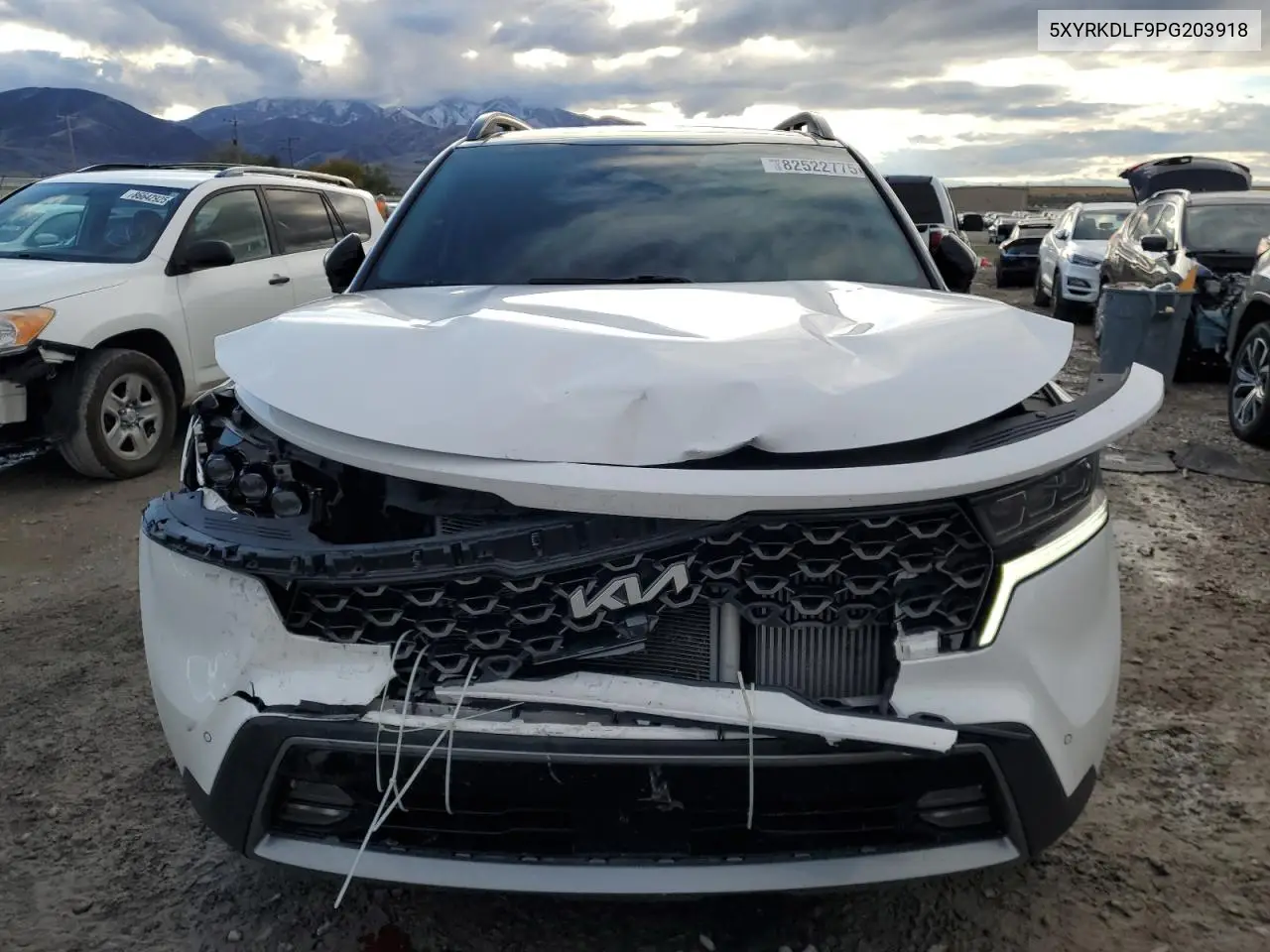 5XYRKDLF9PG203918 2023 Kia Sorento Sx
