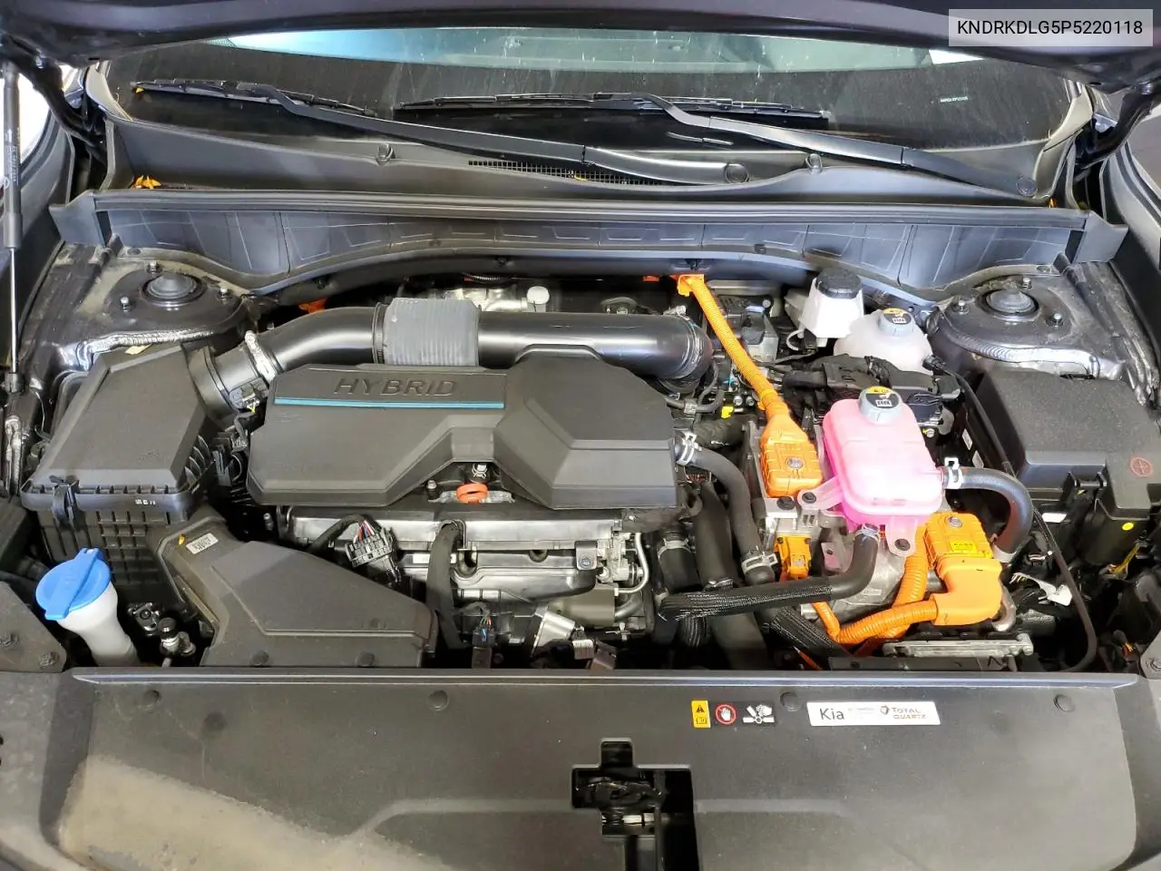 KNDRKDLG5P5220118 2023 Kia Sorento Sxp
