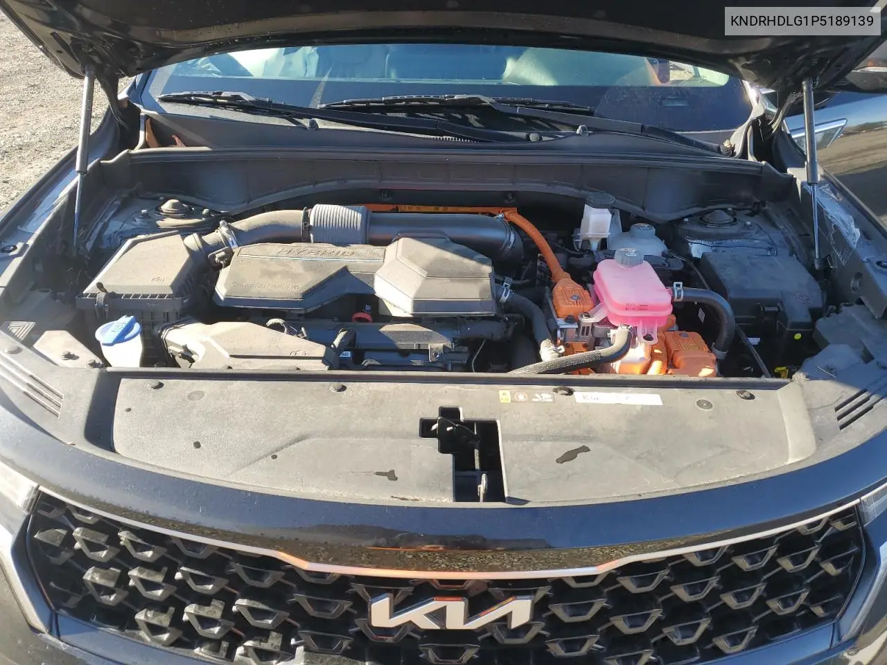 KNDRHDLG1P5189139 2023 Kia Sorento Ex