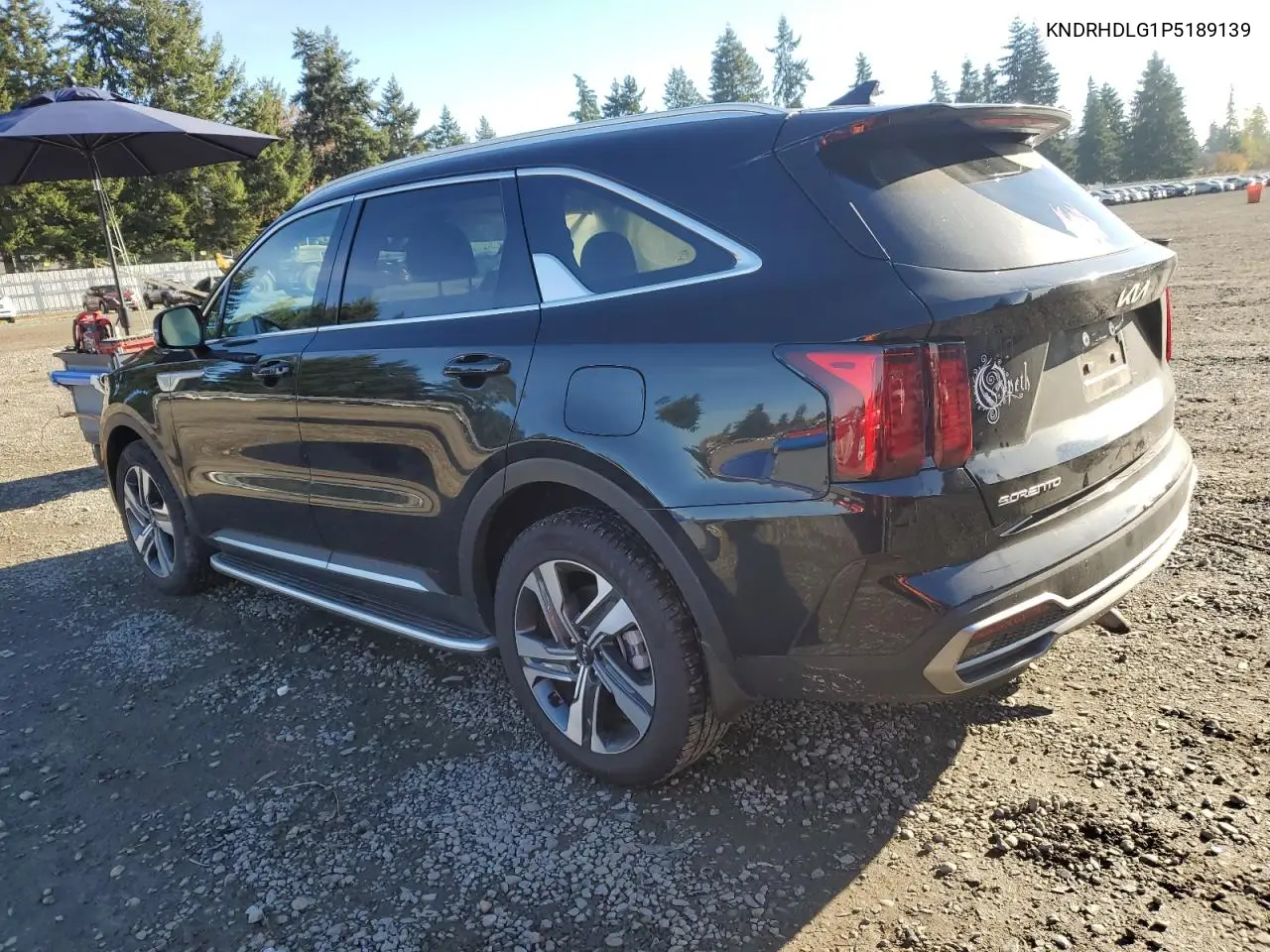 KNDRHDLG1P5189139 2023 Kia Sorento Ex