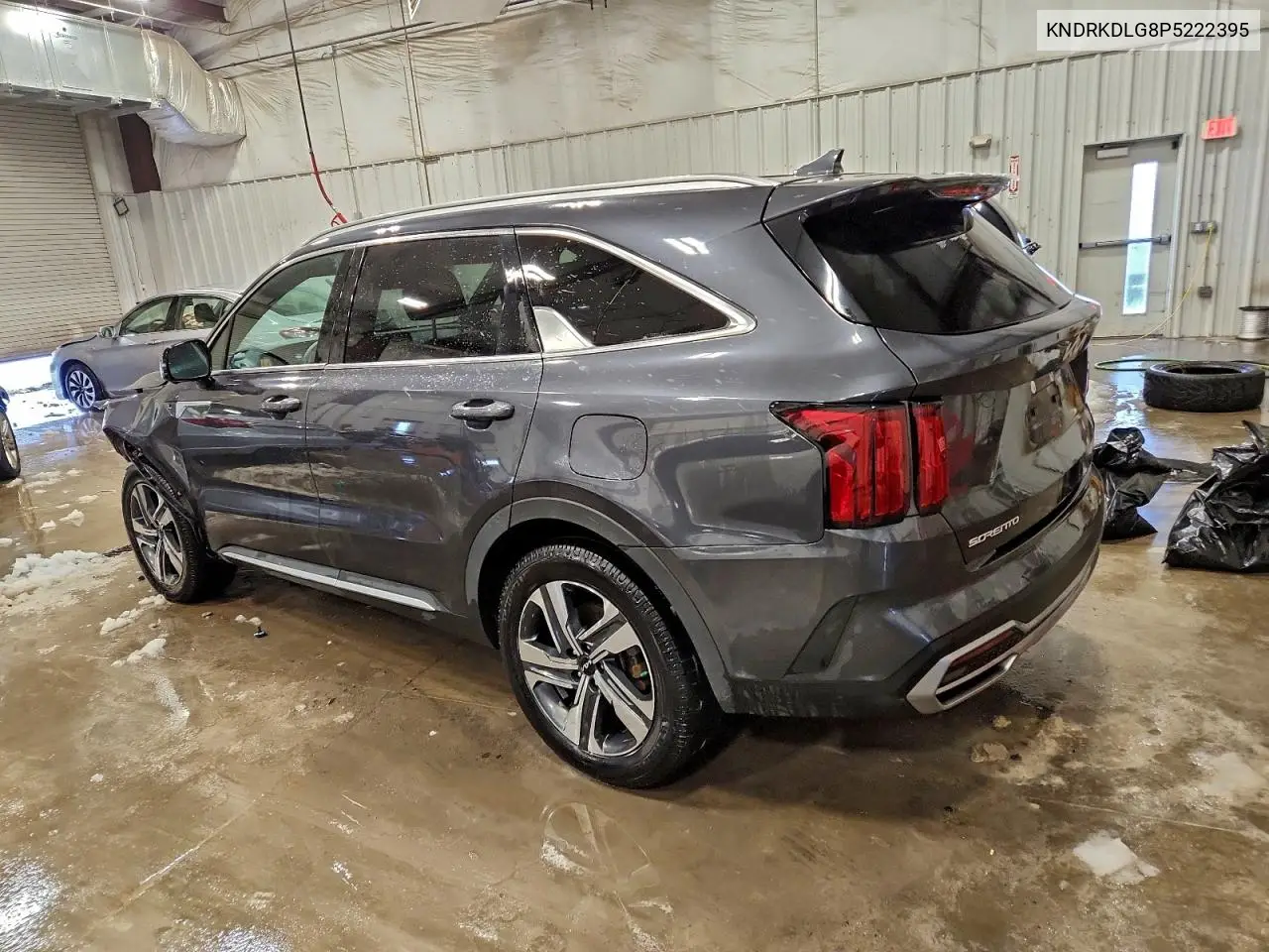 KNDRKDLG8P5222395 2023 Kia Sorento Sxp