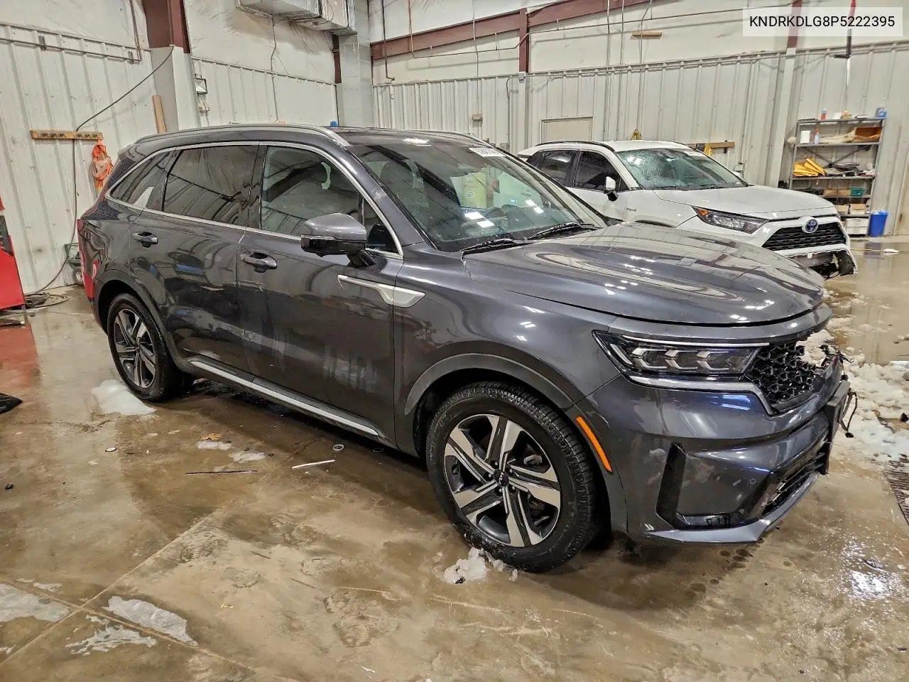 KNDRKDLG8P5222395 2023 Kia Sorento Sxp