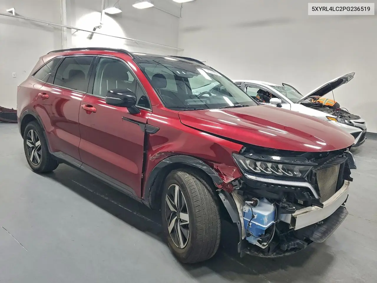 5XYRL4LC2PG236519 2023 Kia Sorento S