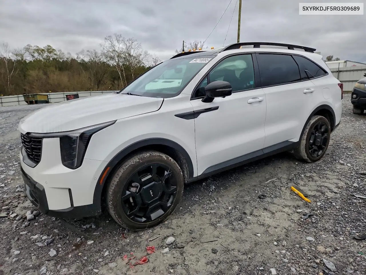 5XYRKDJF5RG309689 2024 Kia Sorento Sx