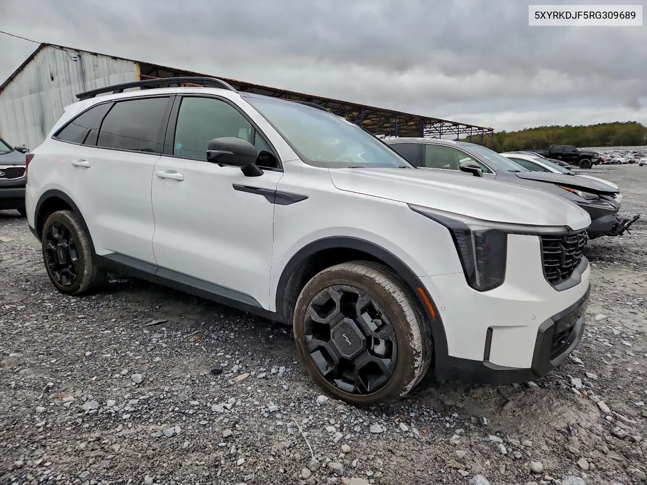 5XYRKDJF5RG309689 2024 Kia Sorento Sx