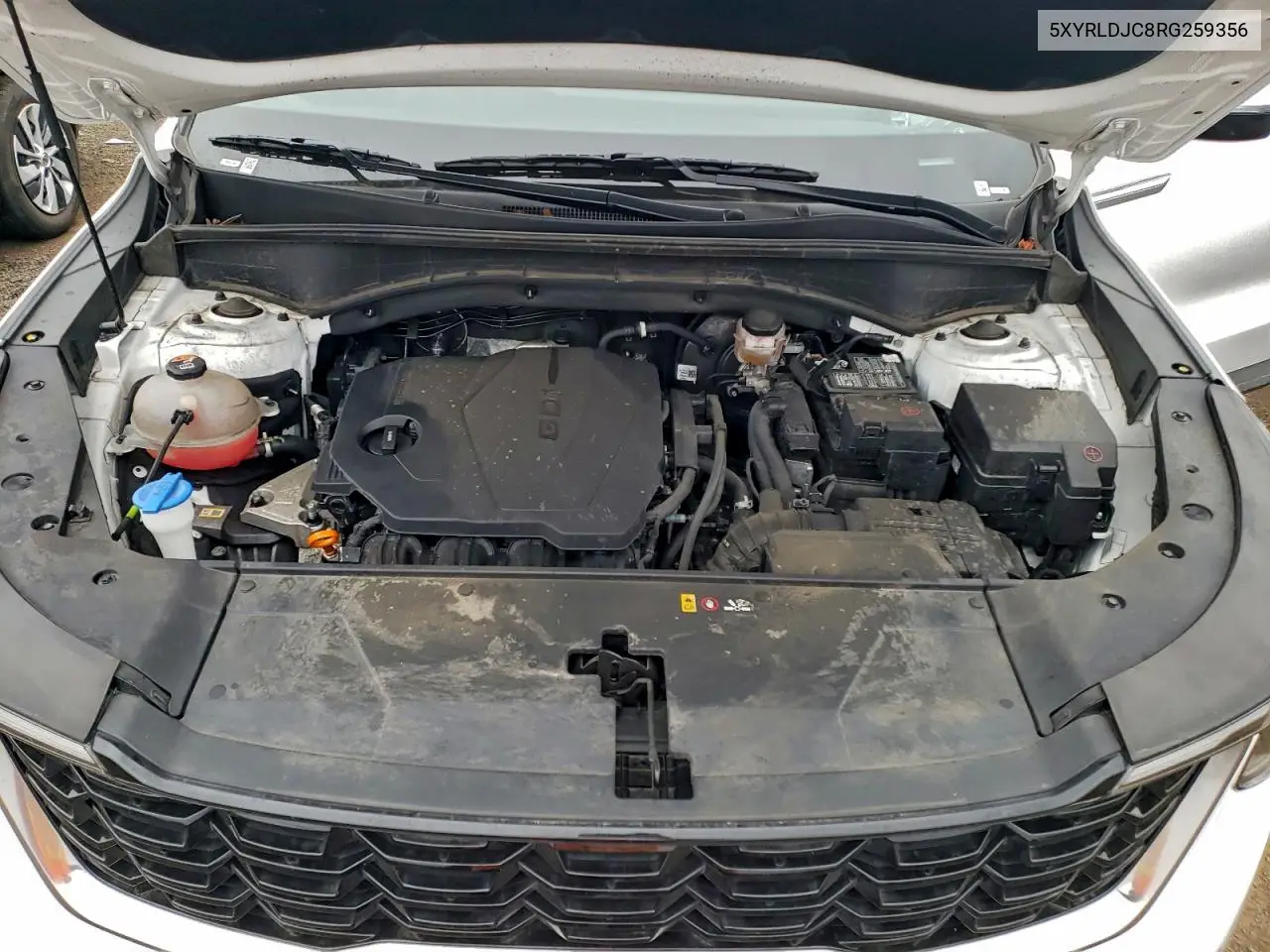 5XYRLDJC8RG259356 2024 Kia Sorento S