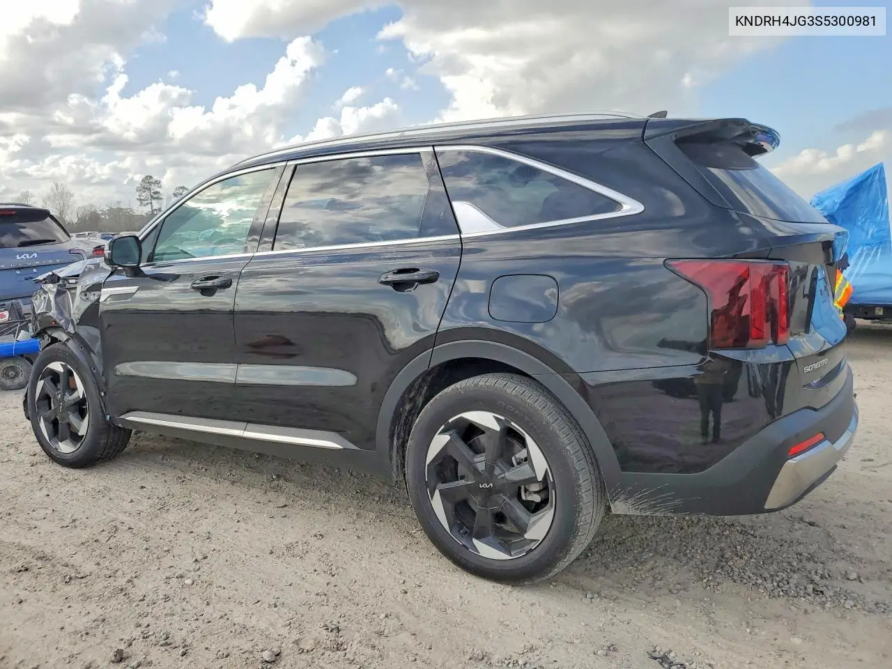 KNDRH4JG3S5300981 2025 Kia Sorento Hybrid Ex