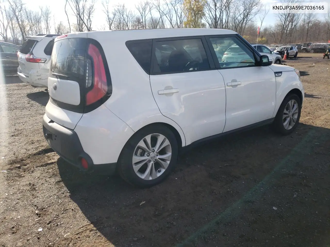 KNDJP3A59E7036165 2014 Kia Soul +