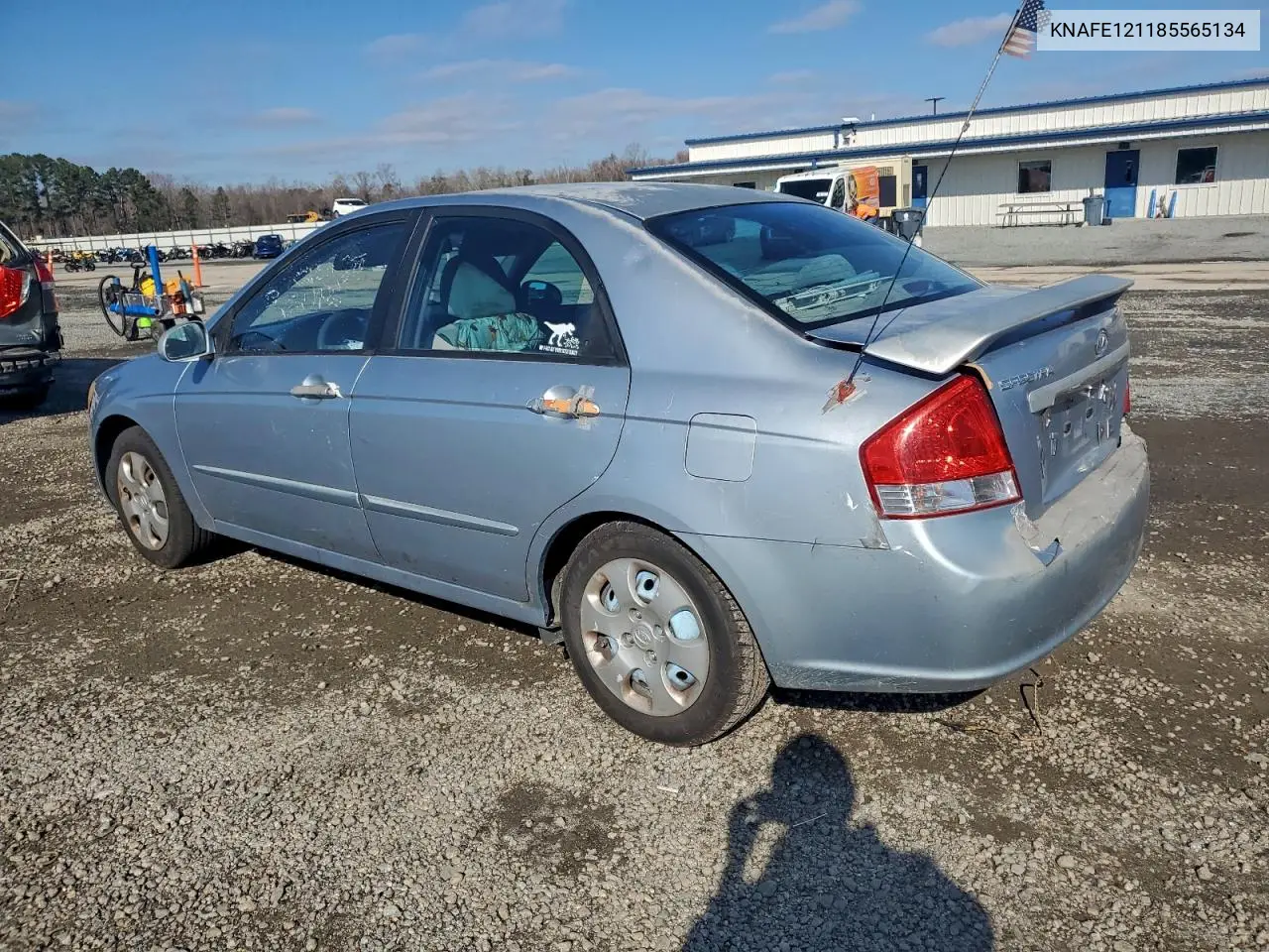 KNAFE121185565134 2008 Kia Spectra Ex