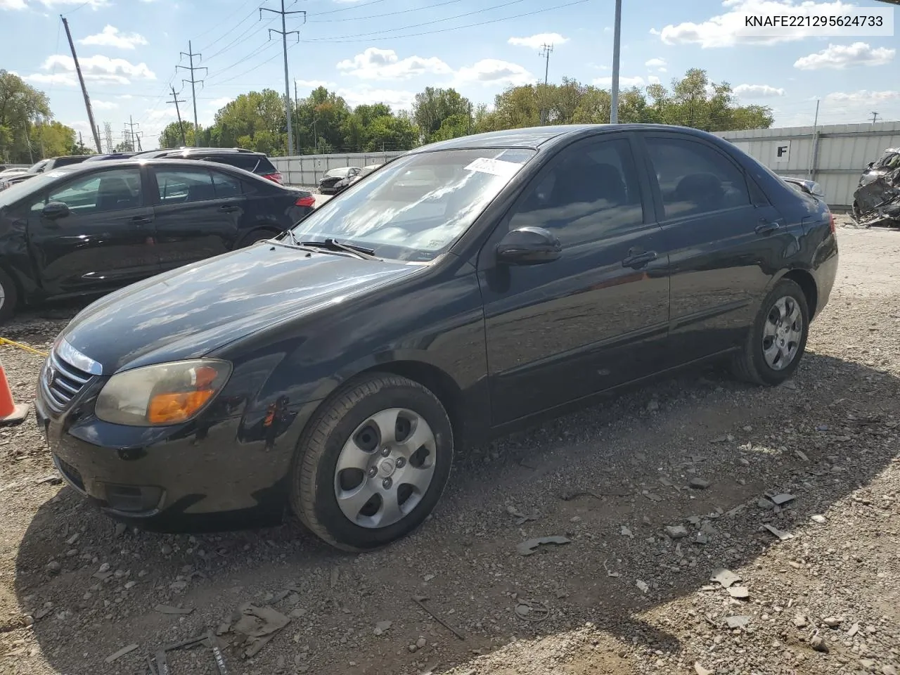 KNAFE221295624733 2009 Kia Spectra Ex