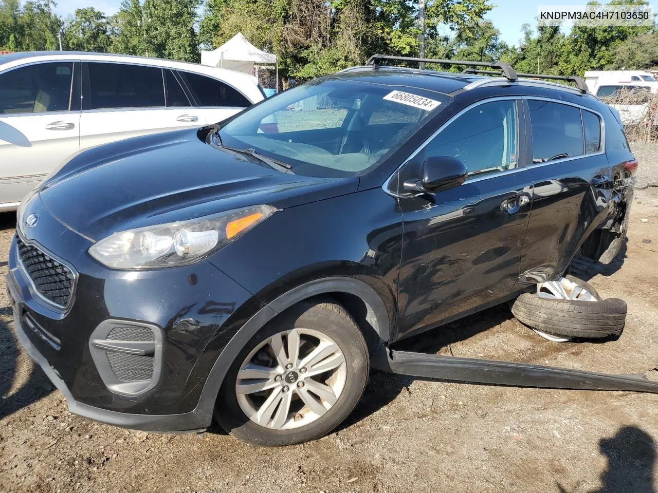 2017 Kia Sportage Lx VIN: KNDPM3AC4H7103650 Lot: 66805034