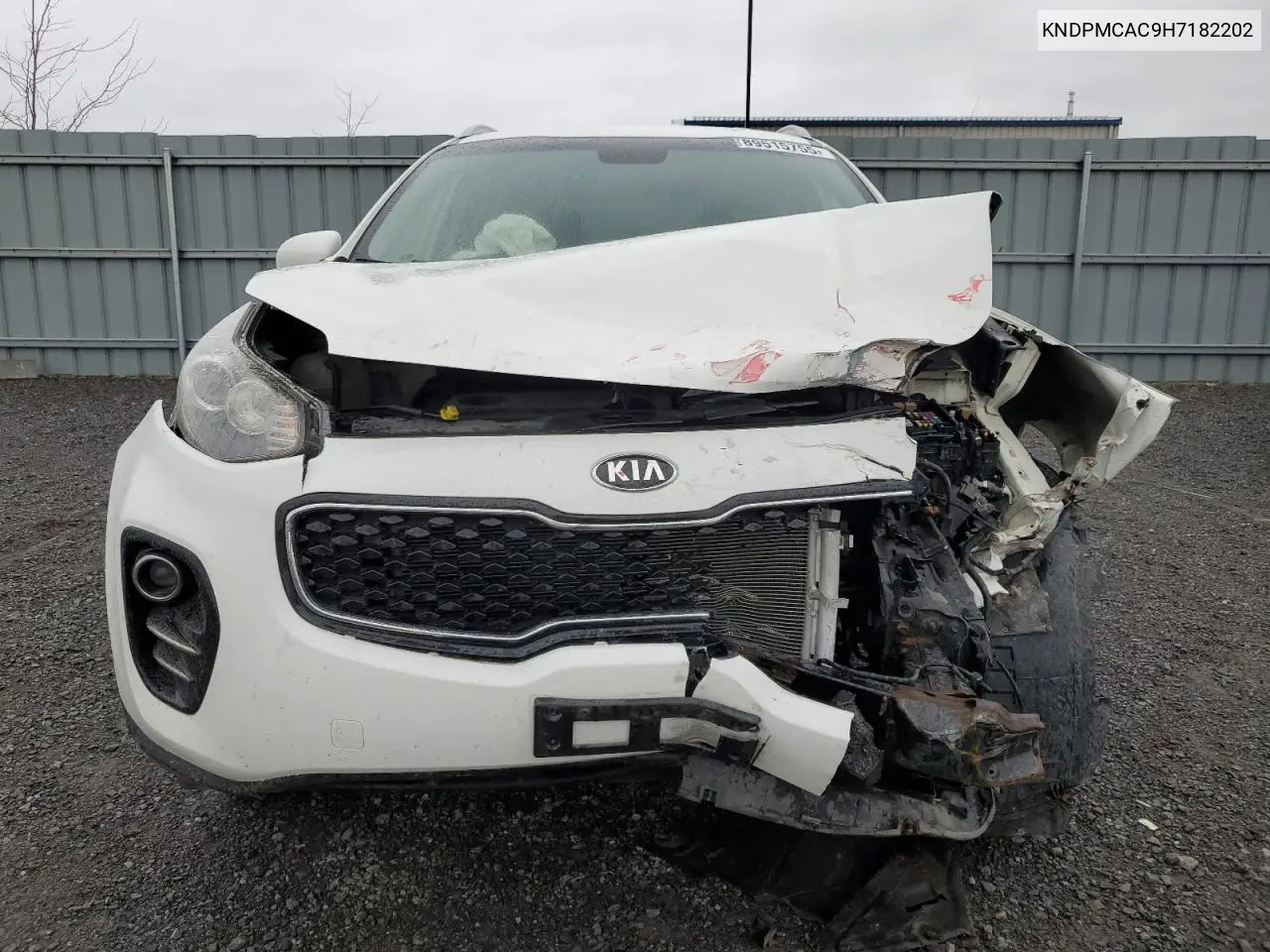 KNDPMCAC9H7182202 2017 Kia Sportage Lx