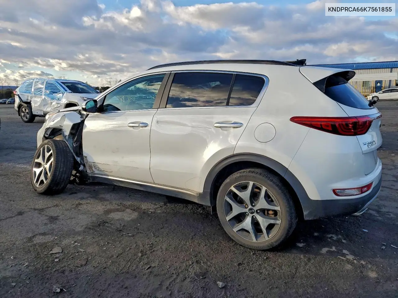 KNDPRCA66K7561855 2019 Kia Sportage Sx