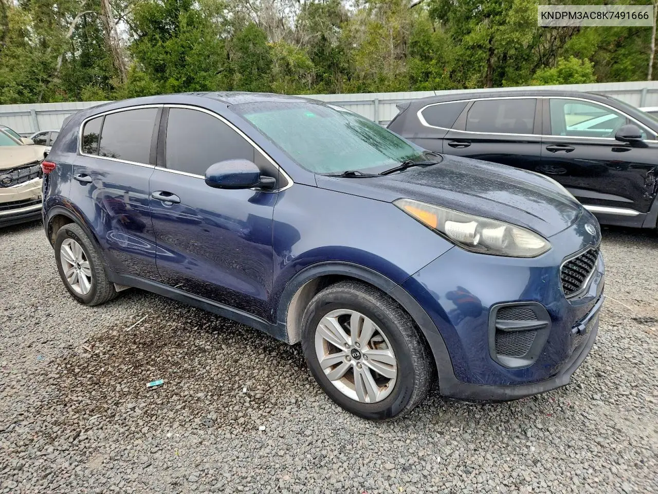 KNDPM3AC8K7491666 2019 Kia Sportage Lx