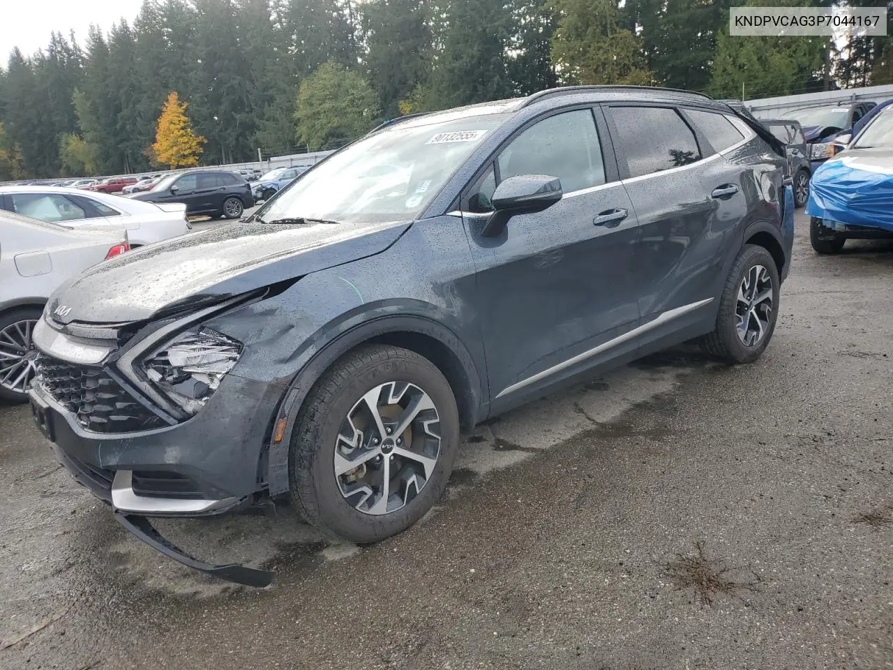 KNDPVCAG3P7044167 2023 Kia Sportage Ex
