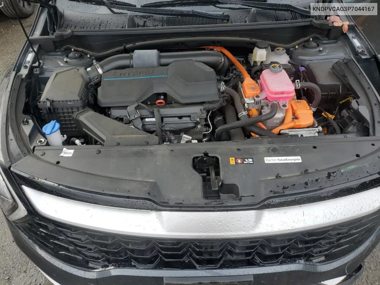KNDPVCAG3P7044167 2023 Kia Sportage Ex