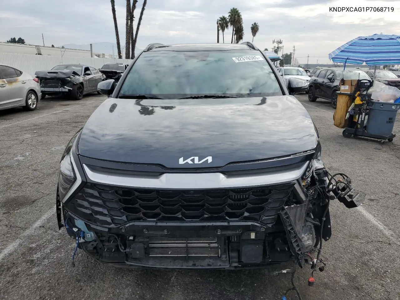 KNDPXCAG1P7068719 2023 Kia Sportage Sx Prestige