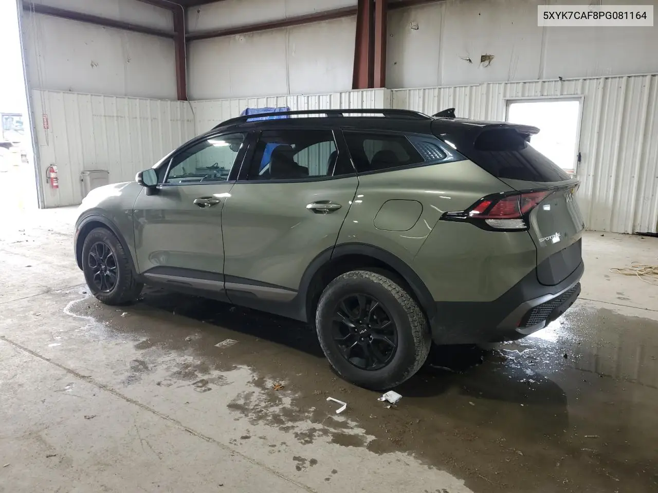 5XYK7CAF8PG081164 2023 Kia Sportage X-Pro
