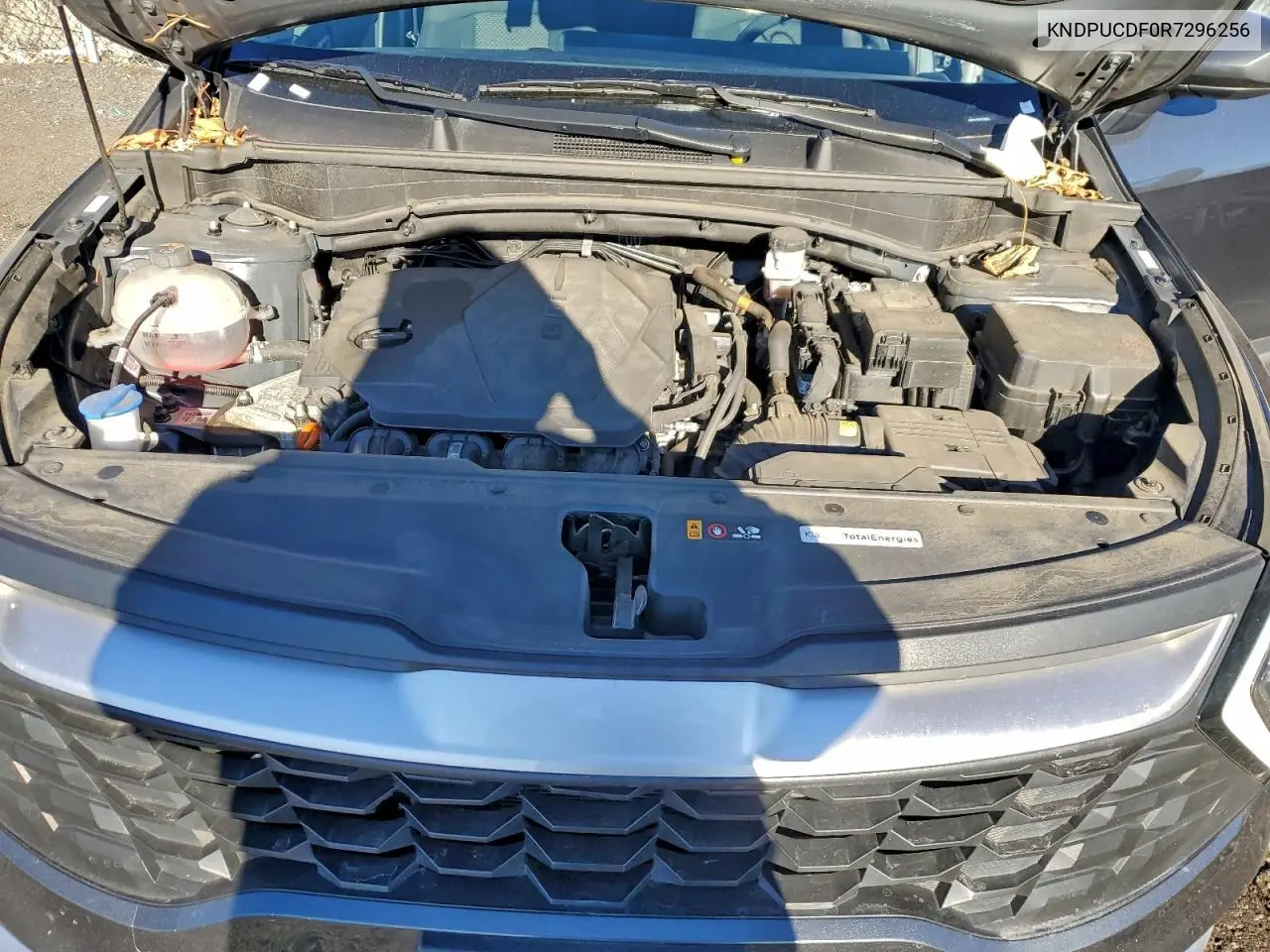 KNDPUCDF0R7296256 2024 Kia Sportage Lx