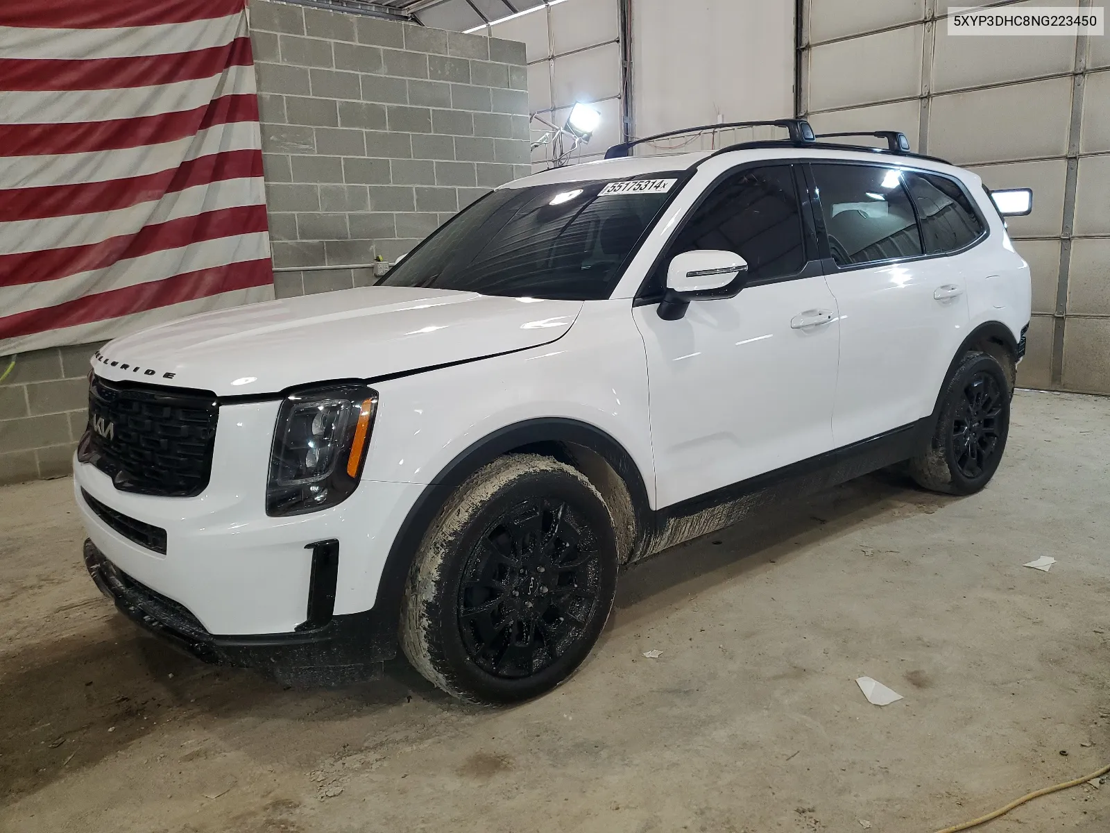 5XYP3DHC8NG223450 2022 Kia Telluride Ex