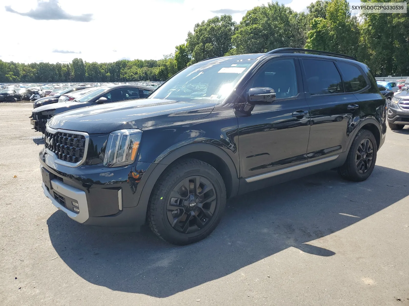 5XYP5DGC2PG330539 2023 Kia Telluride Sx