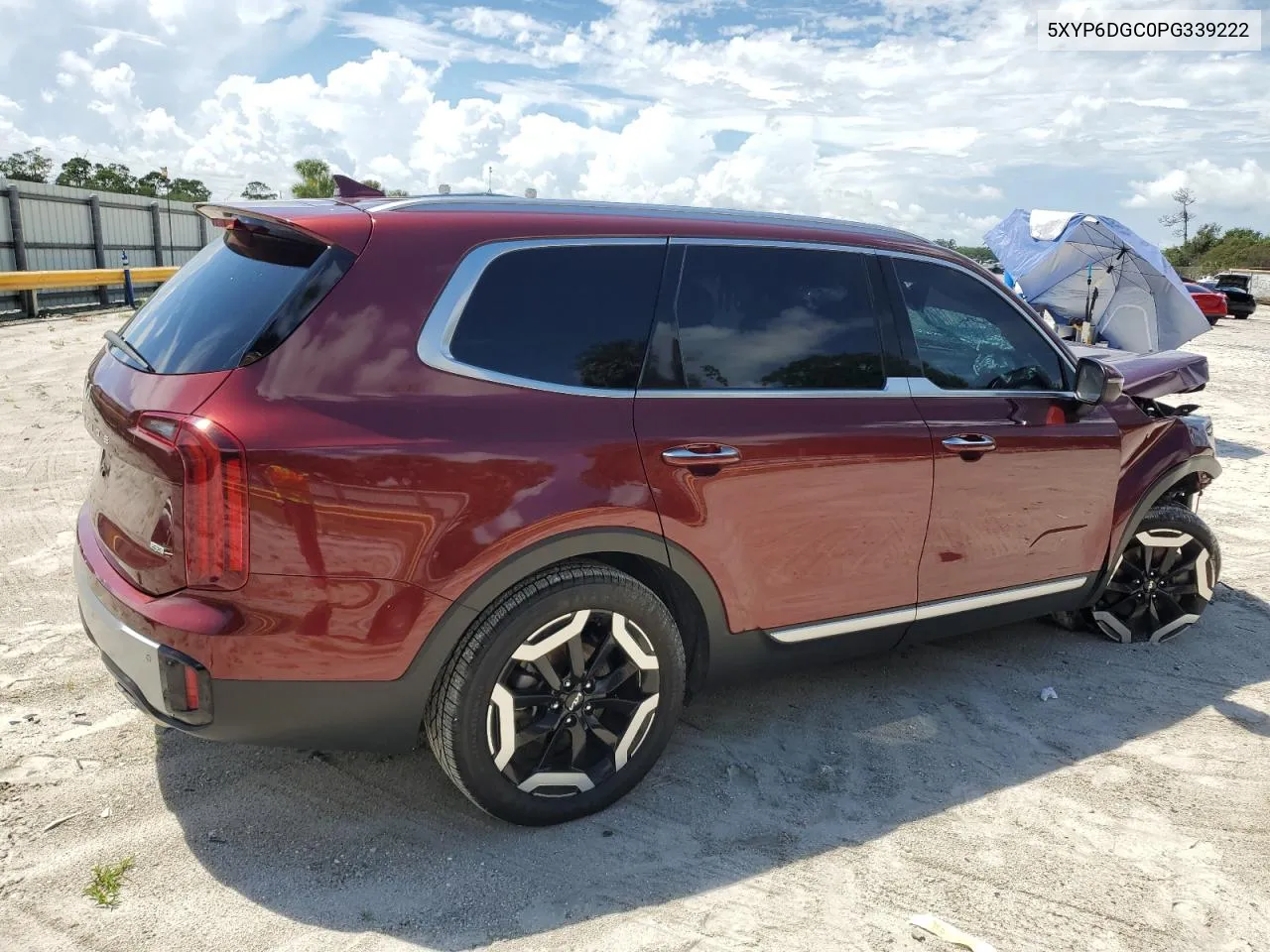 5XYP6DGC0PG339222 2023 Kia Telluride S