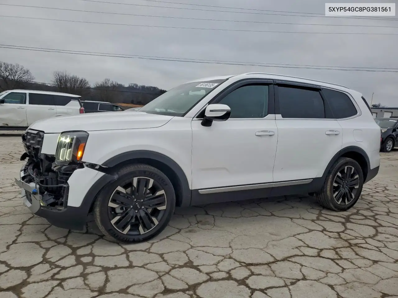 5XYP54GC8PG381561 2023 Kia Telluride Sx
