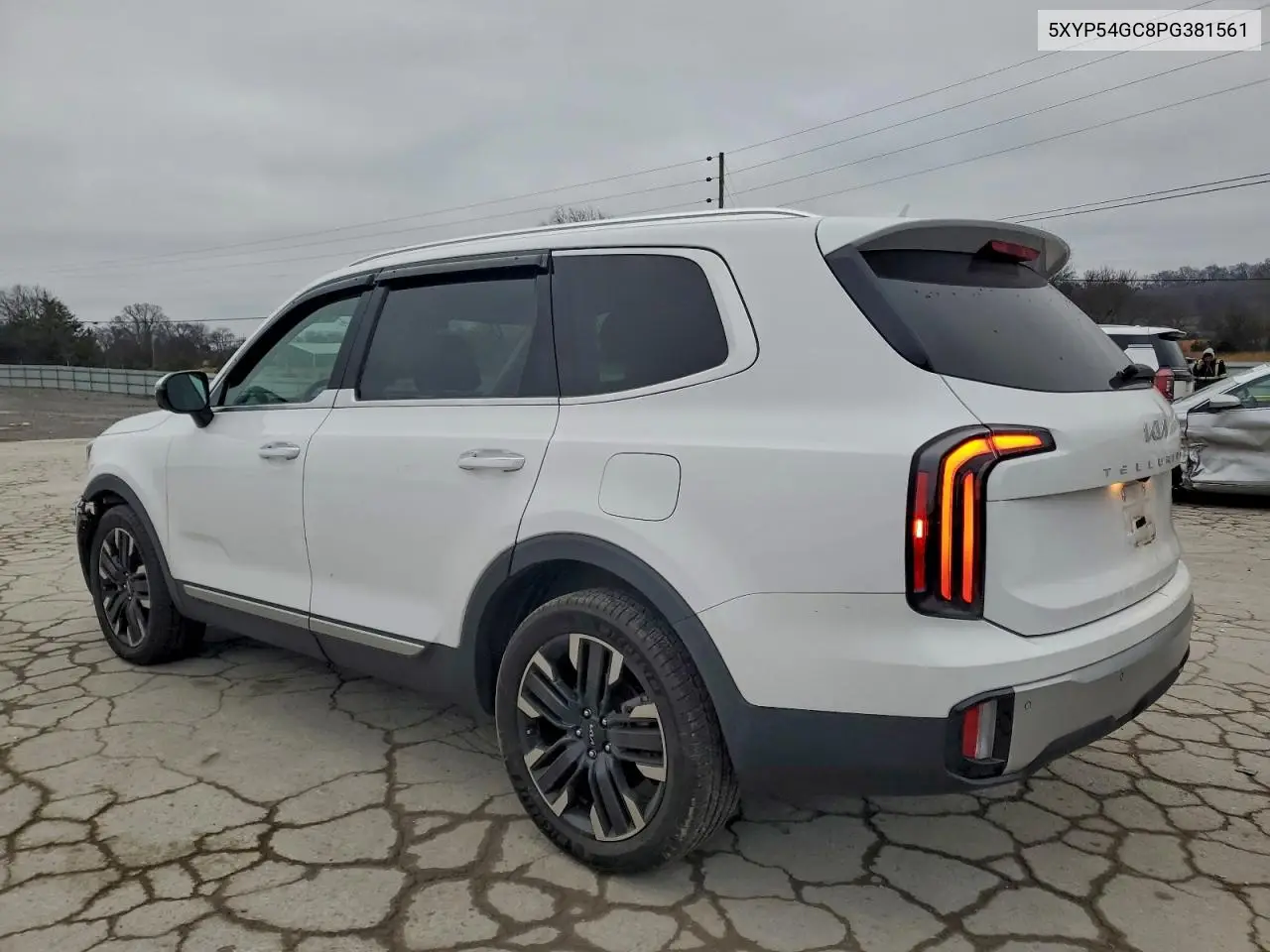 5XYP54GC8PG381561 2023 Kia Telluride Sx