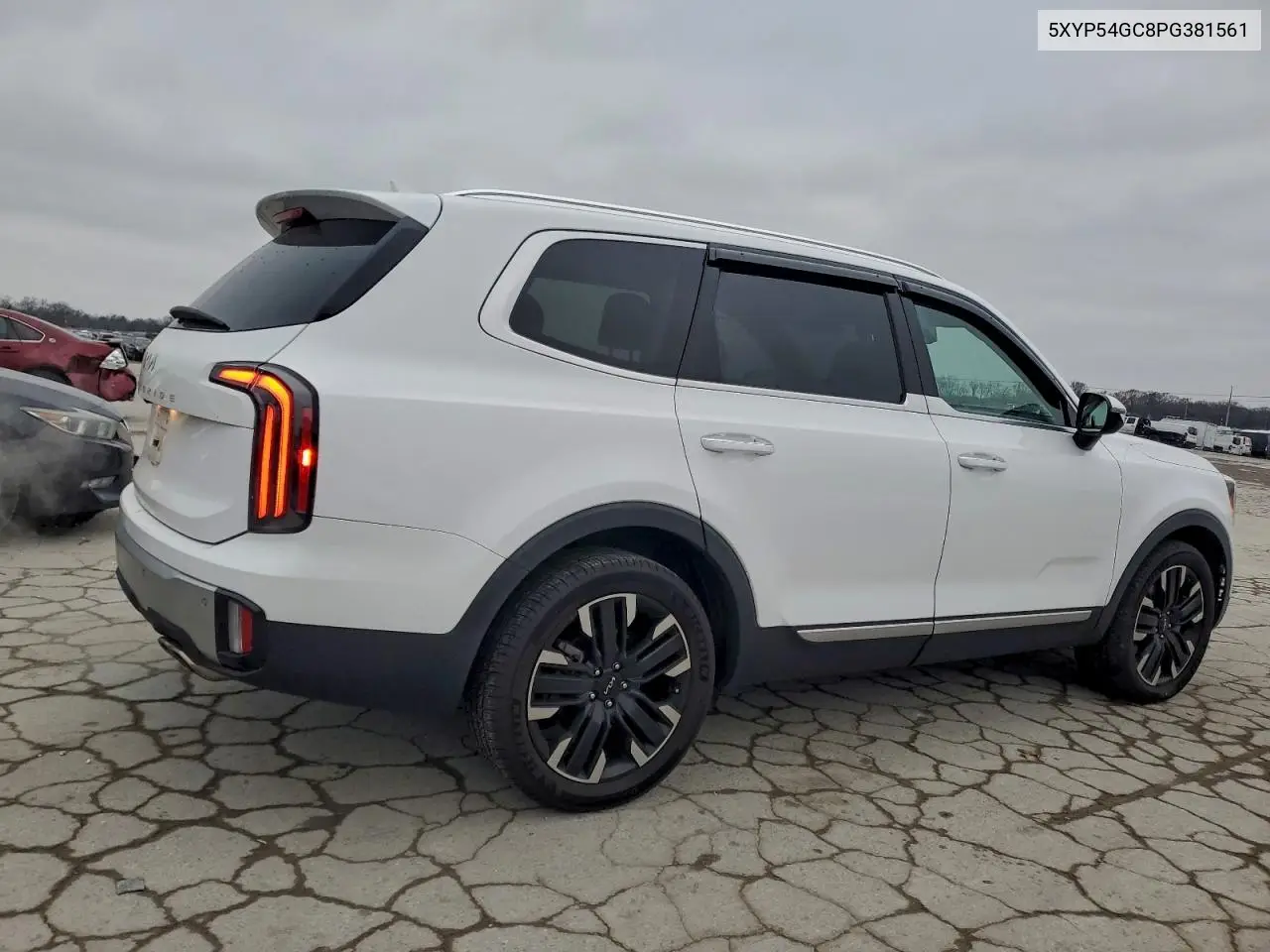 5XYP54GC8PG381561 2023 Kia Telluride Sx