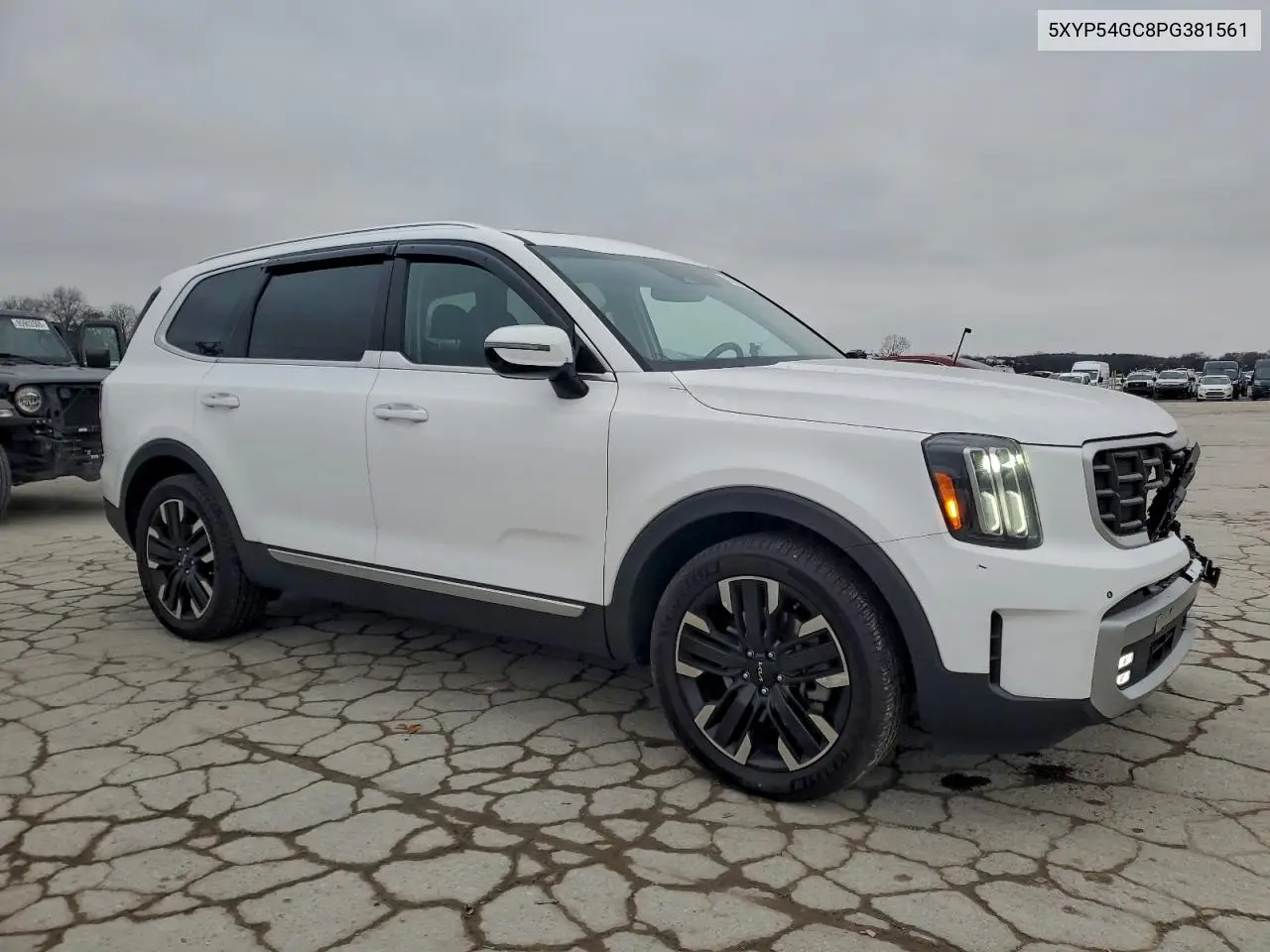5XYP54GC8PG381561 2023 Kia Telluride Sx