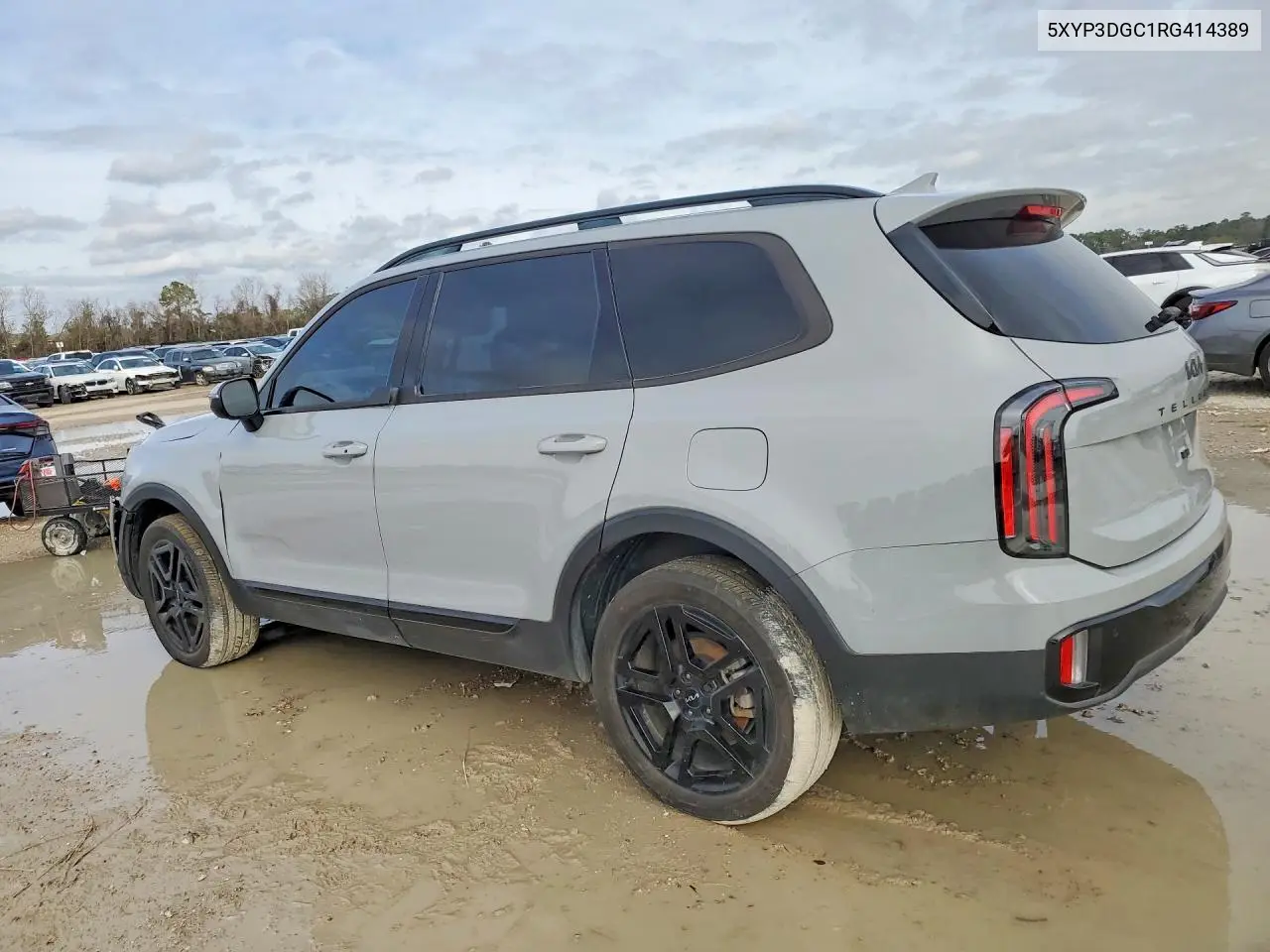 5XYP3DGC1RG414389 2024 Kia Telluride Ex